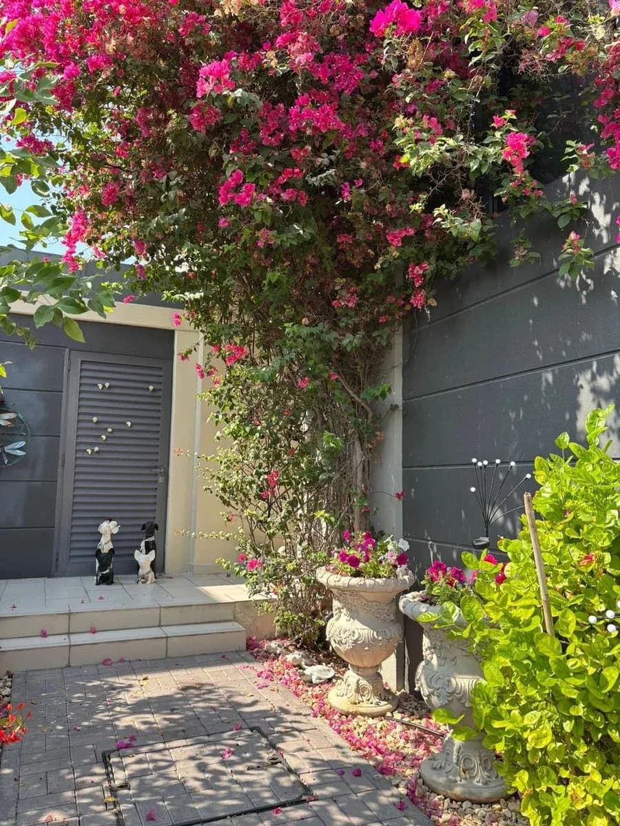 Таунхаус с 3 спальнями и комнатой прислуги в Dubai Hills Estate (Maple 2)